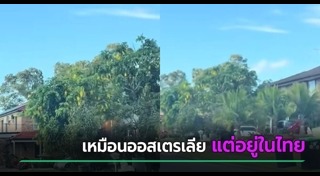 ออสเตรเลีย
