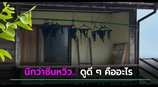 ภาพขำๆ