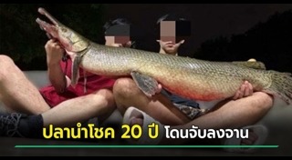 ไต้หวัน