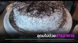 สาหร่าย
