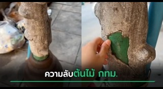 ข่าวฮิตสังคมออนไลน์