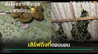 ทุเรียน