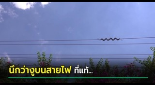 ข่าวจีน