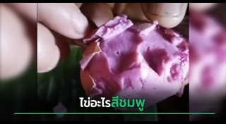ไข่ไก่