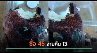 ขนมโดนัท