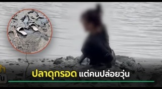 ปล่อยปลา