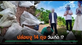 ข่าวจีน