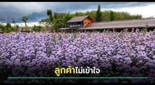 สวนดอกไม้