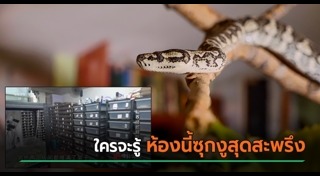 ข่าวจีน