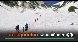 เดินป่า