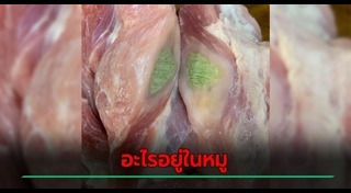 สิ่งแปลกปลอมในอาหาร