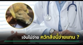 ข่าวแปลกๆ