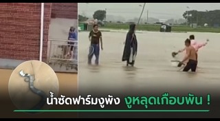พายุไต้ฝุ่น