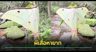 อุทยานแห่งชาติ