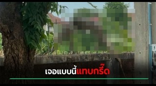 ตัวเงินตัวทอง