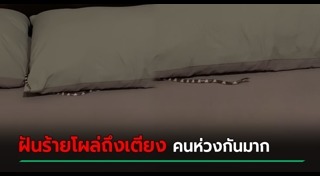 งูเข้าบ้าน