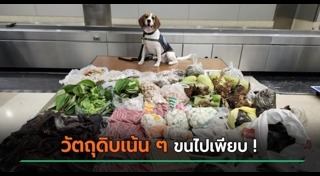 ผิดกฎหมาย