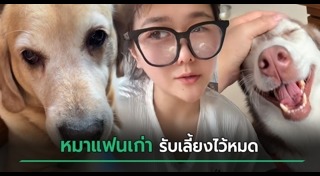 แฟนเก่า