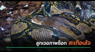 ข่าวต่างประเทศ