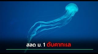 เตือนภัย
