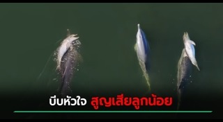 ข่าวต่างประเทศ