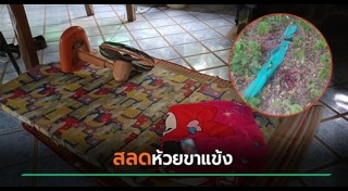 เสือโคร่ง
