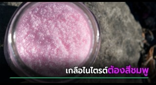 เกลือ