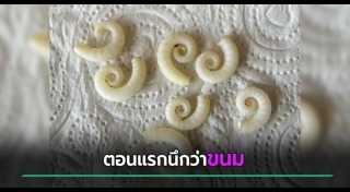 สัตว์แปลก