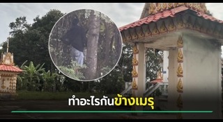 เมียมีชู้