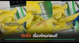 มะม่วง