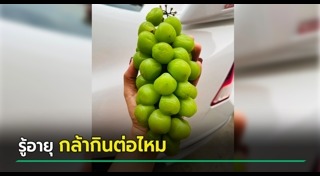 ผลไม้