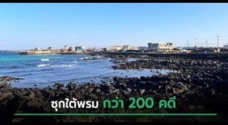 เกาะเชจู