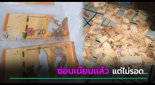 ปลวก