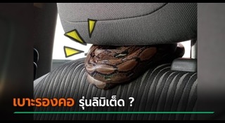 งู