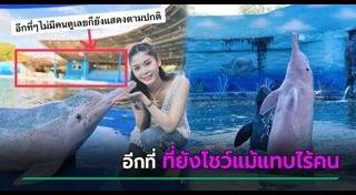 โลมา