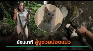 งูเข้าบ้าน