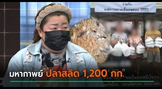 อินฟลูเอนเซอร์