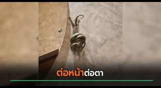 รีสอร์ต