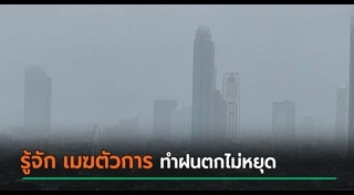 ฝนตก