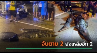 น้ำท่วมไทย