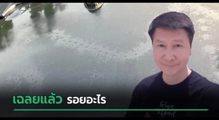 แมลง
