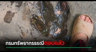 รอยเท้าประหลาด