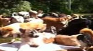 วัดสวนแก้ว