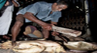 บูชาพระแม่กาลี