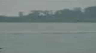 คลื่นพญานาค