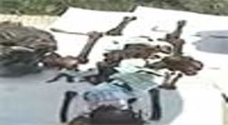 ล้างป่าช้า