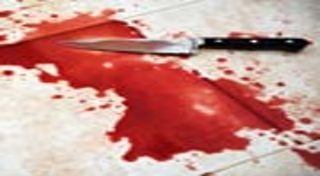 คนส่งพิซซ่า