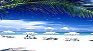 หาดป่าตอง