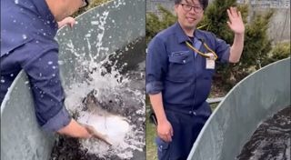 ปลายักษ์