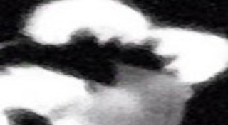 โซโล ลูกแอ๊ด คาราบาว